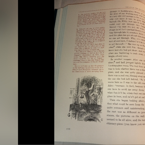 Alice in Wonderland Into the Looking Glass (Book) - Picture 13 of 17